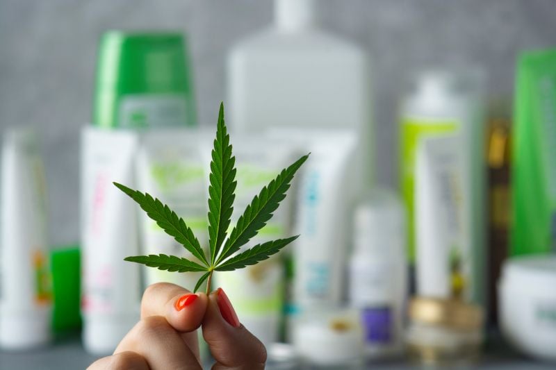 Cannabusters 2024 Cannabis Industry Trends: A Glimpse into the Future with Cannabusters Cannabusters 2024 Cannabis Industry Trends: A Glimpse into the Future with Cannabusters